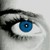:iconrose84343: