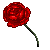 :iconrosealin: