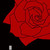 :iconrosearts: