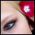 :iconrosebud-stock:
