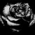:iconrosebuttons42: