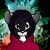 :iconrosedakarawolfe: