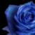 RoseDaughter :iconrosedaughter: