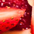 :iconrosedecastille: