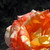 :iconrosedecay: