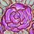 :iconrosedovethorn: