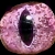 :iconroseeyedpariah: