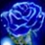 :iconrosella500: