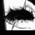 :iconrosemariye: