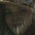 :iconrosemarree: