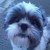 :iconrosemiller: