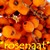 :iconrosenaat: