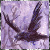 :iconrosenberry: