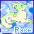 :iconrosenbloem:
