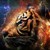 :iconrosenightofnoirlight: