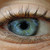 :iconrosenrottt: