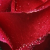 rosepartfiveplz :iconrosepartfiveplz: