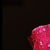 rosepartoneplz :iconrosepartoneplz: