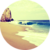 :iconrosepetalgraphics: