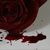 :iconrosepetalsin: