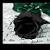 rosercrystal :iconrosercrystal: