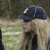 :iconroses-for-rosalie:
