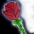 :iconroses-in-twilight: