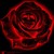 :iconrosesofflames227: