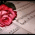 :iconrosesong18: