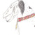 RoseusLupi :iconroseuslupi: