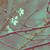 :iconroseviii: