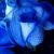 :iconrosewhipgoddess: