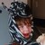 :iconroseyzebra: