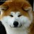 :iconrosharch: