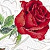 :iconrosie80srock: