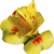 RosieDesign :iconrosiedesign: