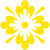 :iconrosingold: