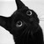 :iconrosmary-linn: