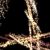:iconross-daxon: