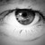 :iconross838:
