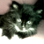 :iconrossleland:
