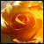 :iconrosybuds:
