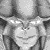 :iconrotshas: