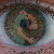 :iconrottencc: