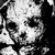 :iconrottinggraphics: