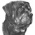 :iconRottweilerRage: