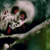 :iconrotworks: