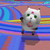 :iconrougeshell: