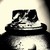 :iconroughfly: