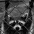 :iconroughme: